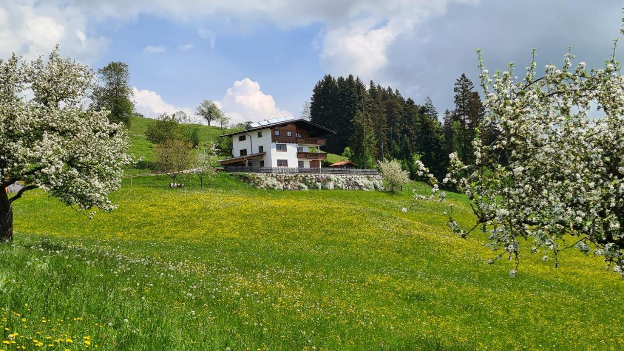 Appartement Schwindelfrei Niederndorferberg Exterior foto